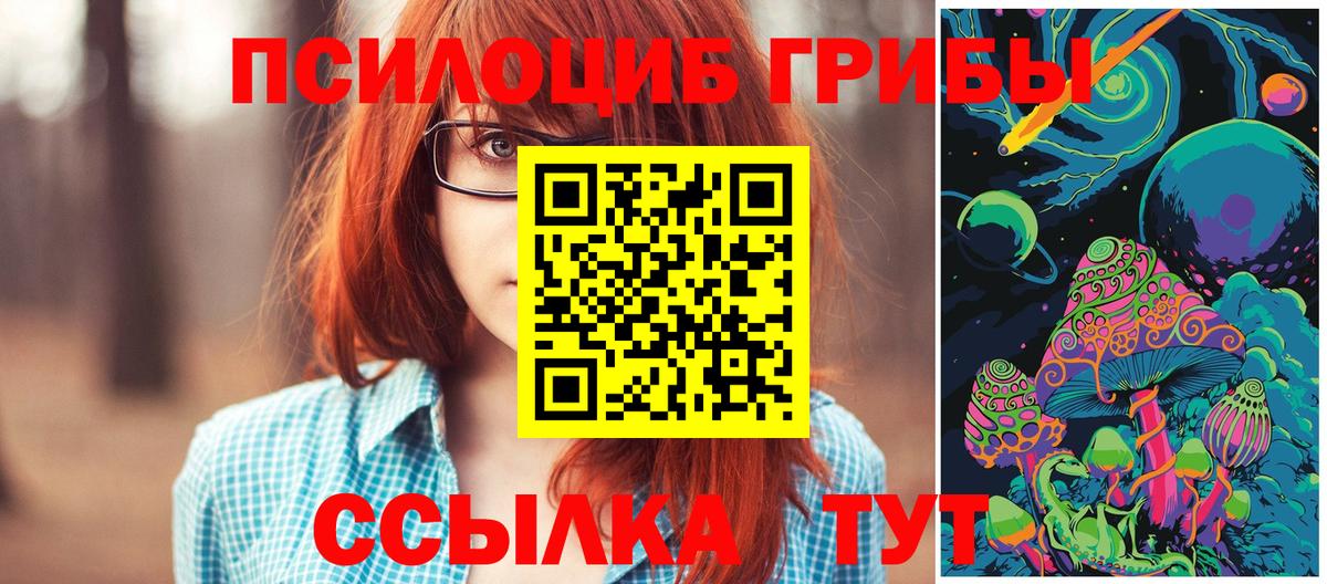 Кинель  Галлюциногенные грибы MAGIC MUSHROOMS  Вход с VPN 